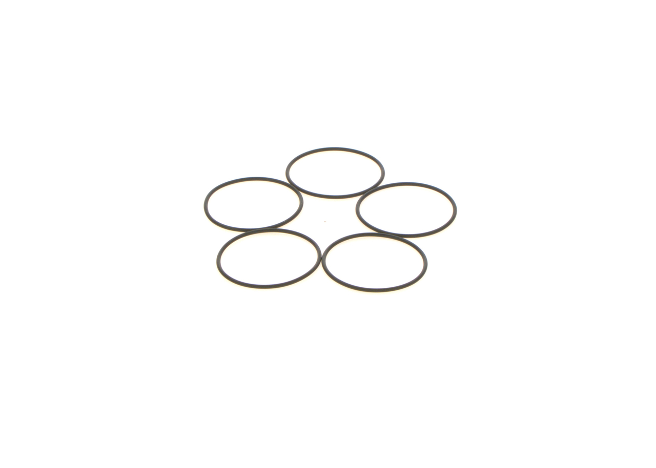 Gummiring - 1410210053 BOSCH - 01318975, 1250271, 9968650
