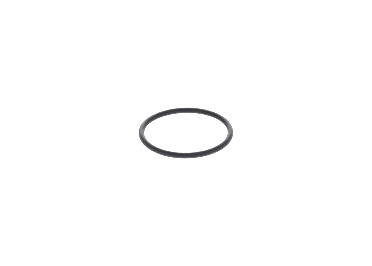 Gummiring - 1420210025 BOSCH - 01309812, A0239977948, R67886