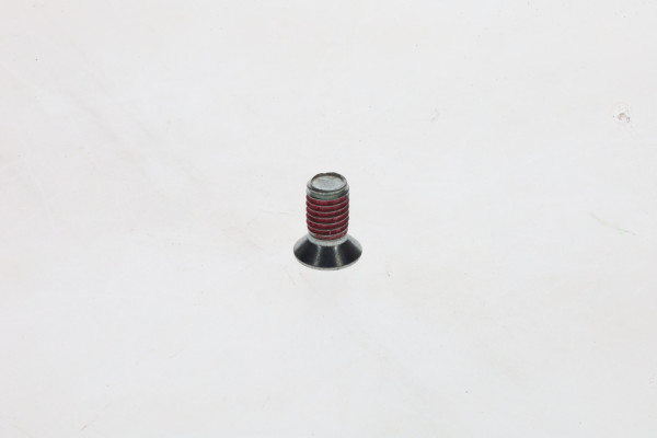 Bolt - 1423429008 BOSCH - 698175