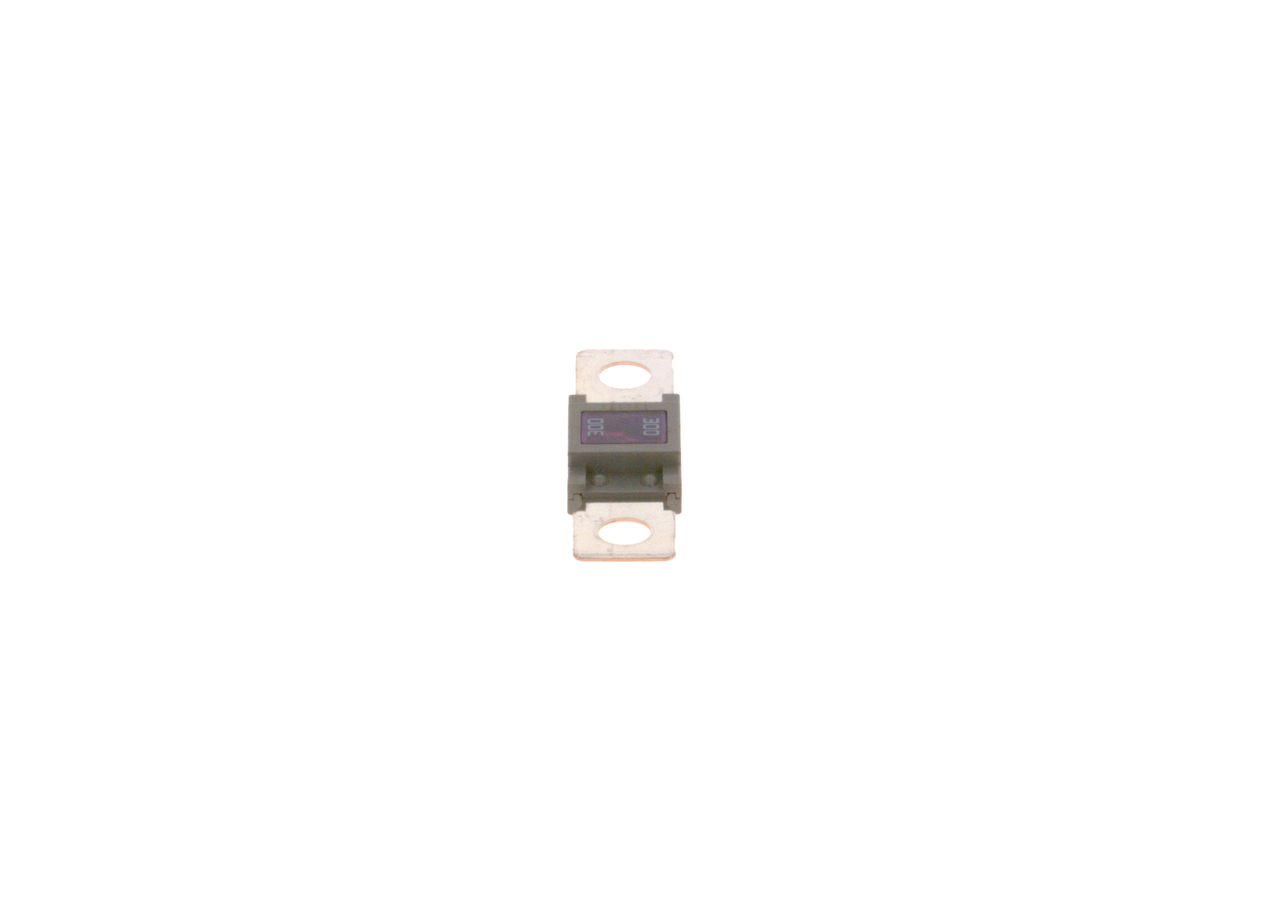 Sikring - 1987531007 BOSCH