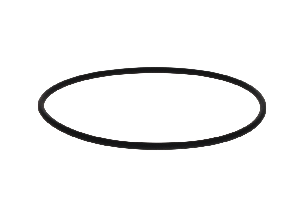 Gummiring - 2410210050 BOSCH - 01319329, 1279569, 1385349