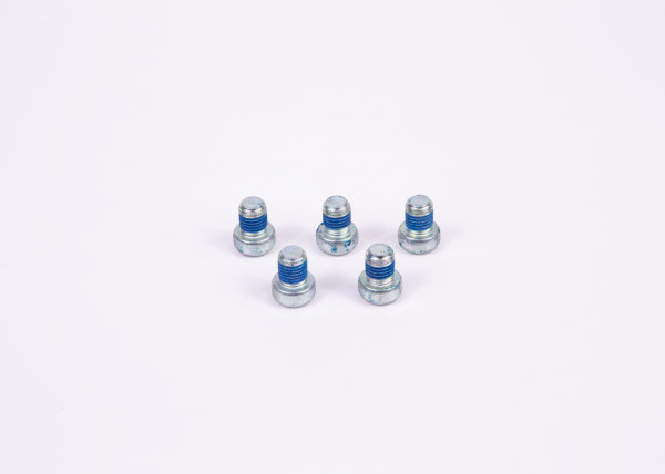 Bolt - 2423429003 BOSCH - 1268552, 1699628, 5001833751