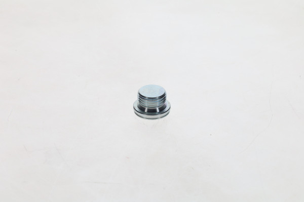 Bolt - 2423462037 BOSCH - 01319017, 1304368, 1385354