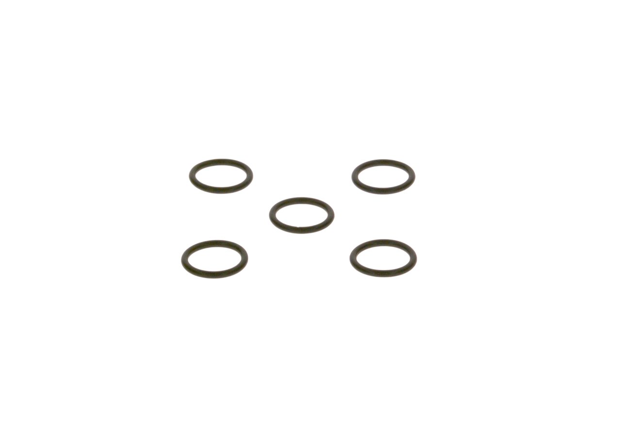 Gummiring - 2440210019 BOSCH - 01319130, 1306766, 1385351