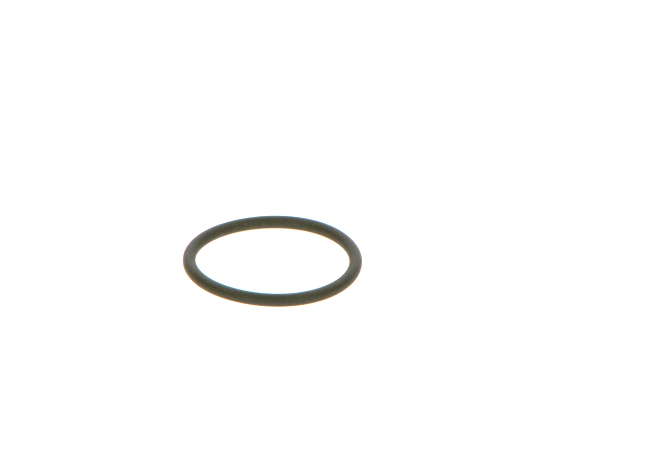 Gummiring - 2440210039 BOSCH - 42548060, 51965010655, 5600735585