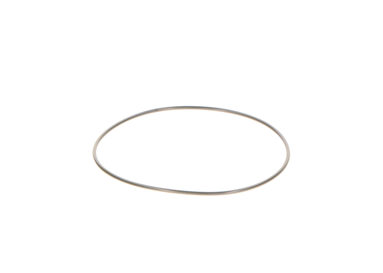 Gummiring - 2440210044 BOSCH - 5001863918, 51965010620