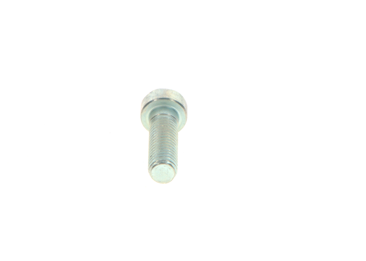 Bolt - 2469403039 BOSCH - 5600679327, 1713290000