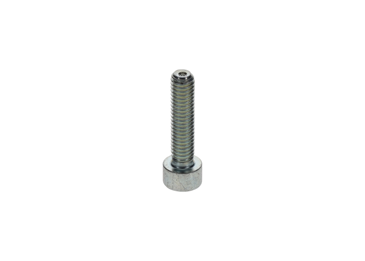 Bolt - 2910148203 BOSCH - 100130014, 2910142203