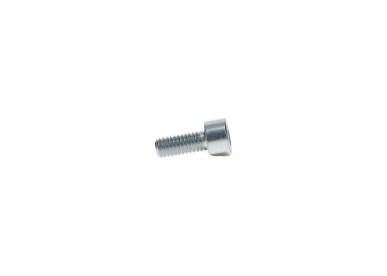 Bolt - 2912708195 BOSCH - 5001852665, 8026039, 81904900707