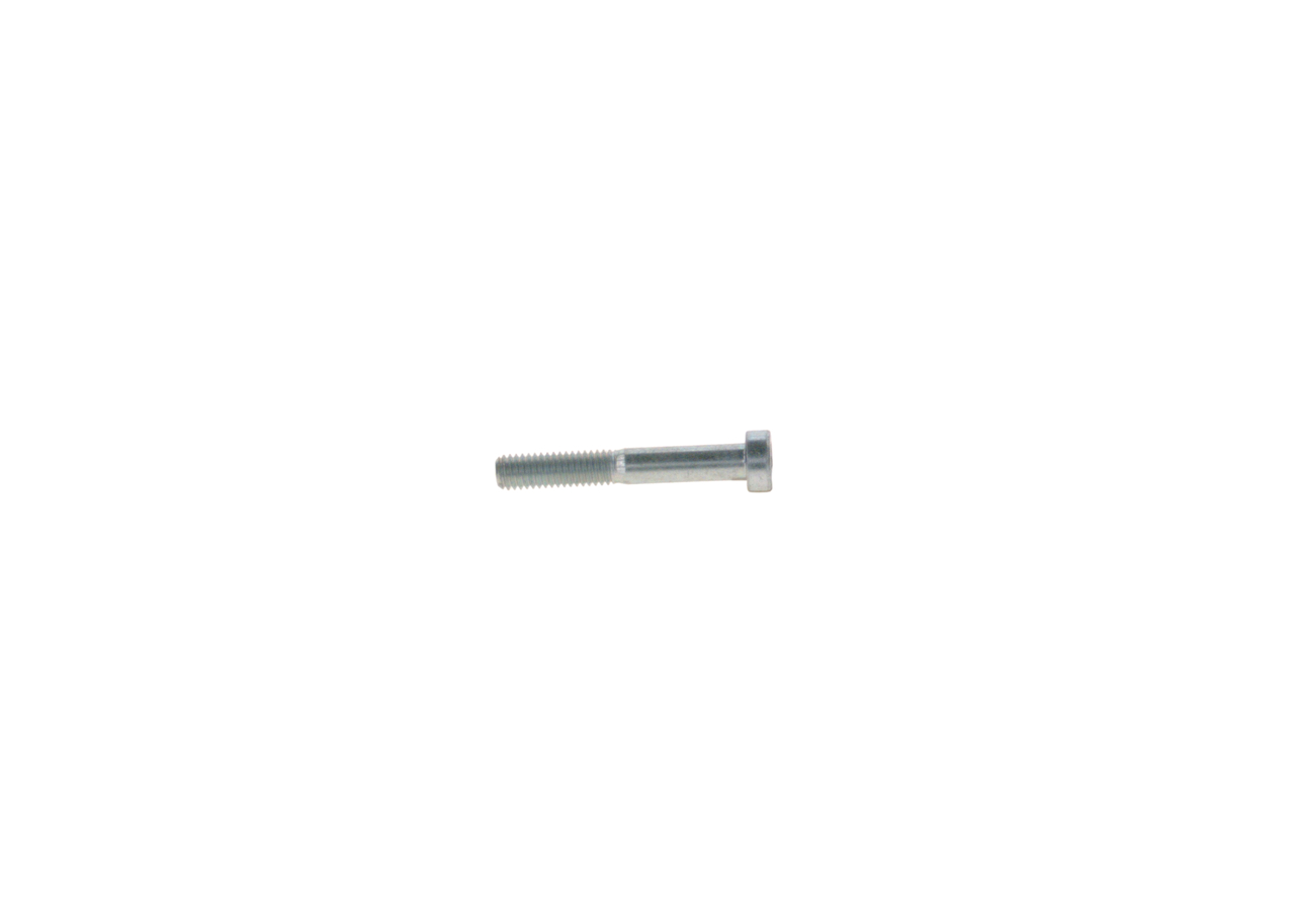 Bolt - 2912738209 BOSCH - 01318165, 81904900602, 1318165