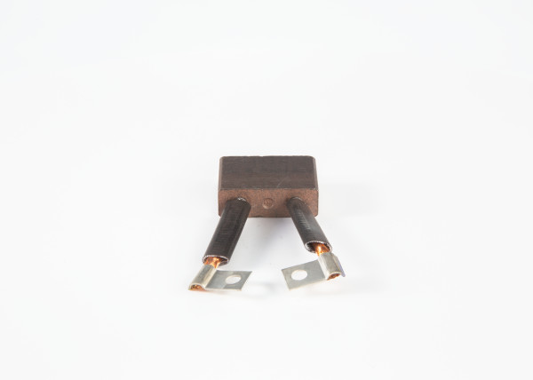 Børste, starter - 9001454104 BOSCH - 120087901300, 1958036, 2Y1799