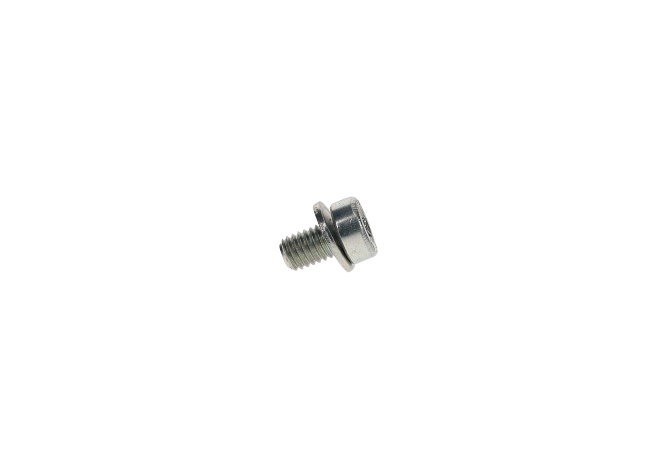 Bolt - F002D13663 BOSCH - 1463433321