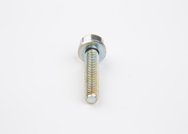 Bolt - F002D13698 BOSCH - 8094857, 1463433312