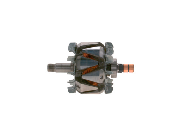 Rotor, dynamo - F00M121636 BOSCH - 038903213