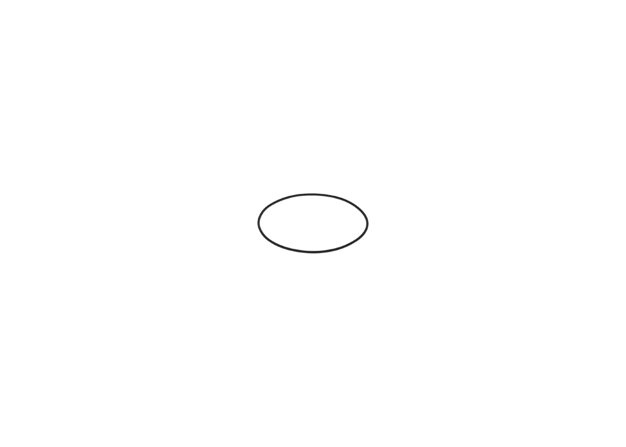 Gummiring - F00N202726 BOSCH