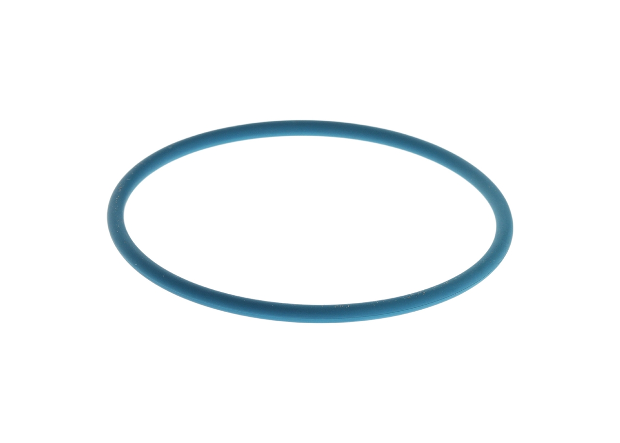 Gummiring - F00N204925 BOSCH