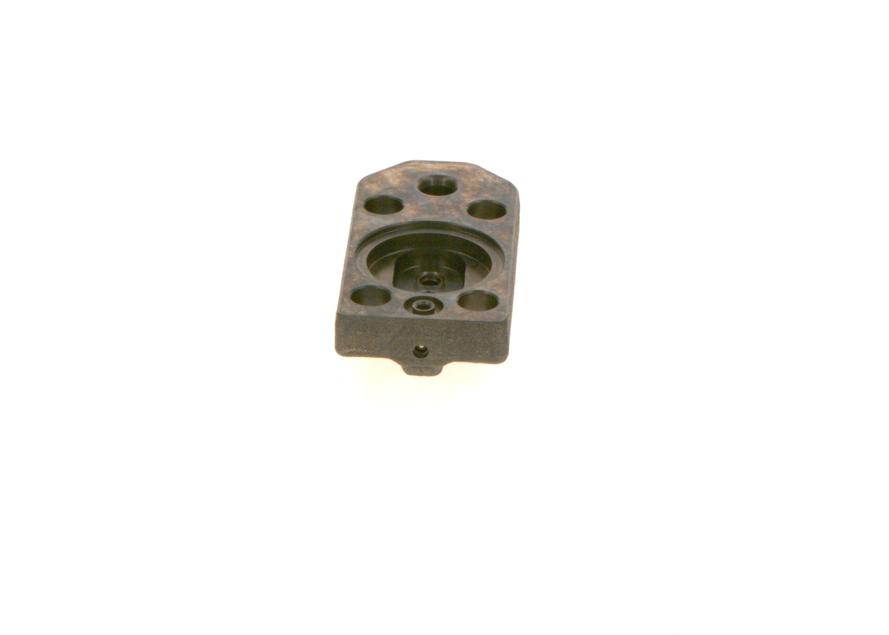 Sylindertopp - F00R0P1733 BOSCH - 5600679410, 8200794177