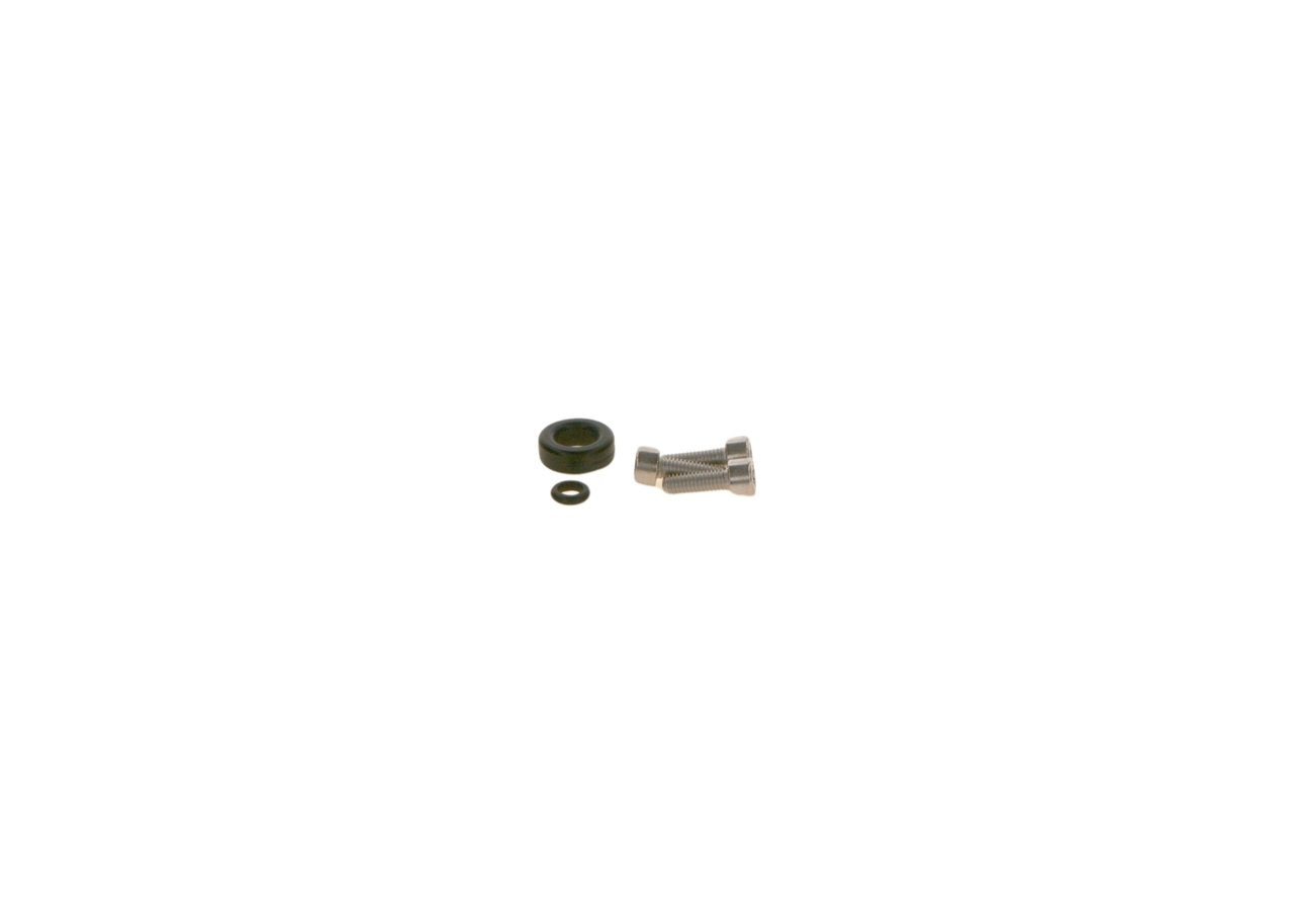 Gummiring - F01C300131 BOSCH - 22902627, 5801717623, ML239175