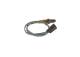 Lambdasonde - 0258010333 BOSCH - CM5A9G444AA, 1759361, CM5Z9G444A