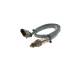 Lambdasonde - 0258030296 BOSCH - 06K906262AP, 0258030297