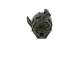 Ekstra vannpumpe (kjølevannkretsløp) - 0392024168 BOSCH - 210100113R, 210107745R, 0392024097
