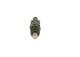 Dysestamme - 0432217305 BOSCH - 166007F405, 7700854303, 0432217227