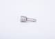 Dyse - 0433172120 BOSCH
