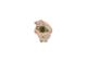 Drivstoffpumpe - 0440020031 BOSCH
