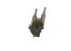 Drivstoffpumpe - 0440020116 BOSCH - D5305810