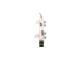 Fordelingsrør, drivstoff - 0445224013 BOSCH - 2P0133319A, 4944990, 5259689
