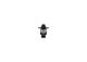 Styreventil, drivstoffmengde (Common-Rail-system) - 0928400820 BOSCH - 10006030956U1, P3225002