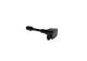 Coil - 098622A224 BOSCH - 22448ZE00A, 22448ZE00C, 20658