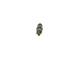 Dysestamme - 0986430244 BOSCH - 96069910, 96122780, KCA17S42