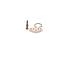 Coil - 1467010062 BOSCH - 964F9F544AA, 1467010530