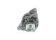 Dynamo - 1986A01613 BOSCH - A005TL0291, A005TL0291AM, A005TL0291ZT