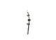 Bremseslange - 1987481508 BOSCH - 500327224, 504088068, 504229365
