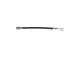 Bremseslange - 1987481621 BOSCH - 01466-TF0-951, 19036988, 24527002363