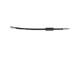 Bremseslange - 1987481705 BOSCH - BK212C338AB, 1763955, 1845652