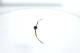 Kabel, parkeringsbrems - 1987482632 BOSCH - 1605111, 365301862R, 4421102