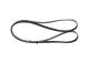Multi-V reim - 1987946279 BOSCH - 252122A120, 252122A121, 5PK1797
