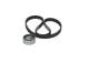 Registerreim sett - 1987946544 BOSCH - 1680600QAV, 6001543859, 7701472725