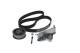 Registerreim sett - 1987946674 BOSCH - 06B198119C, 1987948065, 530054610