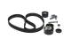 Registerreim sett - 1987946701 BOSCH - 130C13191R, 7701474359, 7701477023