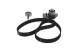 Registerreim sett - 1987946710 BOSCH - 1276067JG1, 7701474443, 7701477050