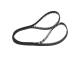 Registerrem - 1987949671 BOSCH - 1145A019, 5641XS, 941043