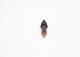 Dysestamme - 9430082747 BOSCH - 2RL130201B, 3355015, 75288114