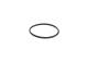 Gummiring - F00HN37072 BOSCH - 01319624, 1319624, F00RP00158