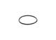 Gummiring - F00HN37072 BOSCH - 01319624, 1319624, F00RP00158
