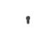 Bolt - F00N202191 BOSCH - 5600735570, 81904900804, 99478122