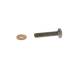 Bolt - F00N202193 BOSCH - 5600735587, 8201011795, F00R0P0556